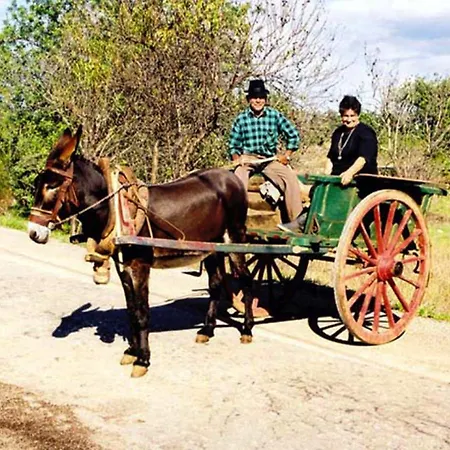 منتزه العطل Jardins Da Balaia البوفيرا